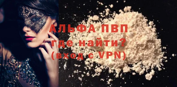 стаф Вяземский