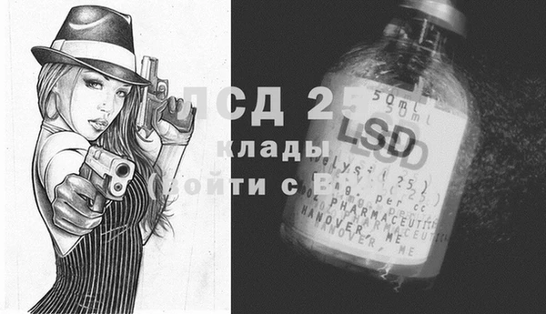 стаф Вяземский