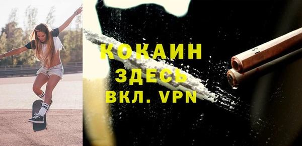 стаф Вяземский